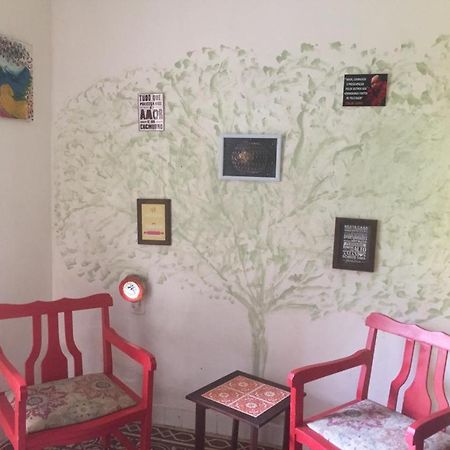 Gira Arte Hostel เรซิเฟ ภายนอก รูปภาพ